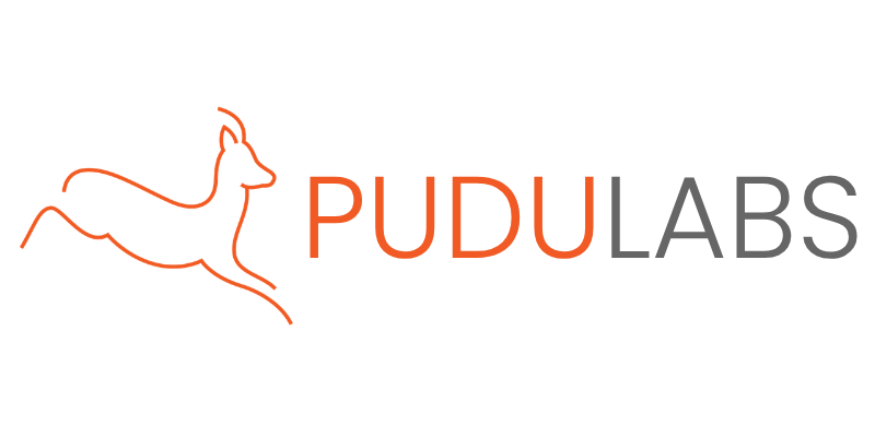 Pudu Labs